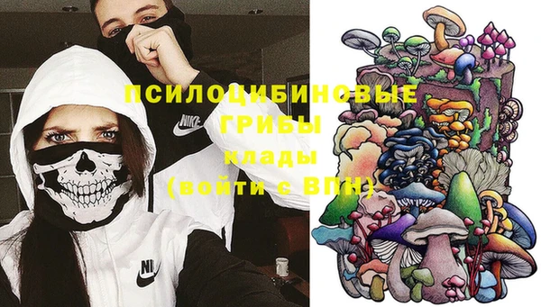 марки nbome Нязепетровск