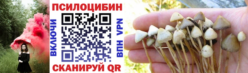 Галлюциногенные грибы ЛСД omg ТОР Сальск