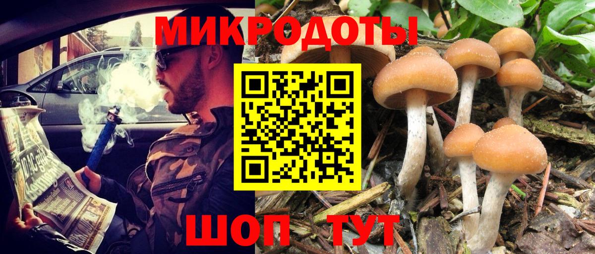 Сальск  Экстази  МЕФ кристаллы  ГАШИШ  ГАШИШ  Вход с VPN  Кокаин  МАРИХУАНА 